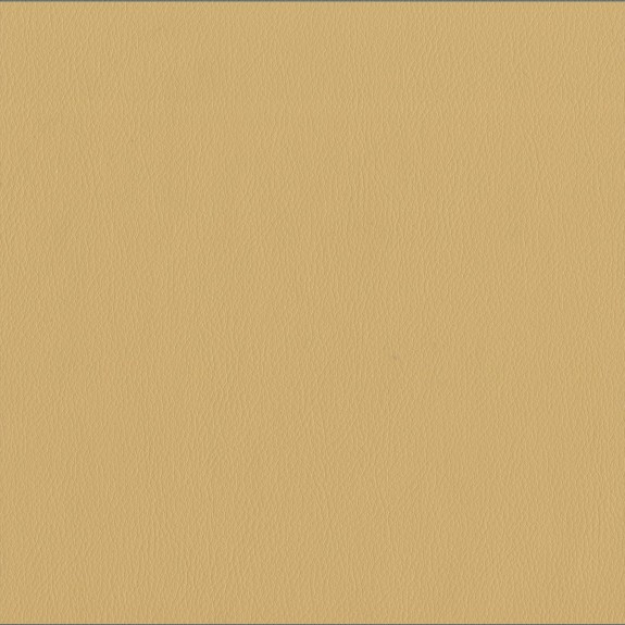 Kensington Orthopaedic Armchair in a Manuka Faux Leather Vinyl  - Hospitality & Care Edition