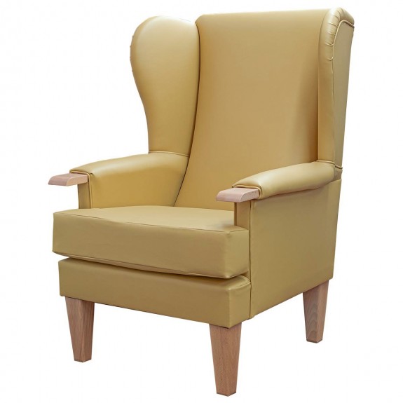 Kensington Orthopaedic Armchair in a Manuka Faux Leather Vinyl  - Hospitality & Care Edition